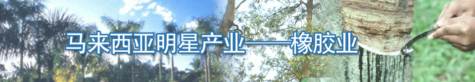 馬來西亞明星產業