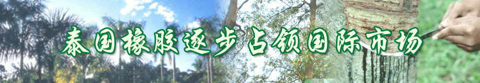 泰國橡膠逐步占領國際市場