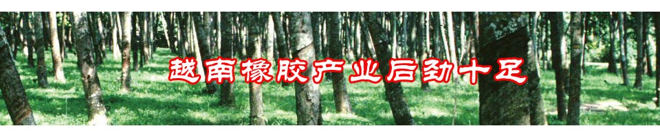 越南橡膠產(chǎn)業(yè)后勁十足