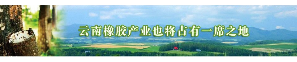 云南橡膠產業也將占有一席之地