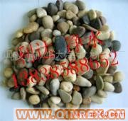 供應鵝卵石（礫石）濾料