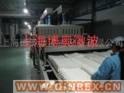 供應供應 微波天然乳膠床墊、枕頭的定型、蒸煮、烘干機  上海